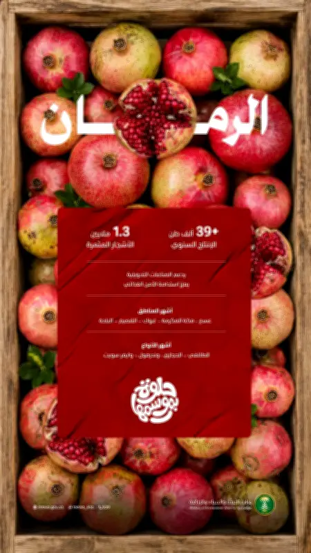 أكثر من 1.3 مليون شجرة رمان في المملكة تنتج 39.7 ألف طن سنويًا