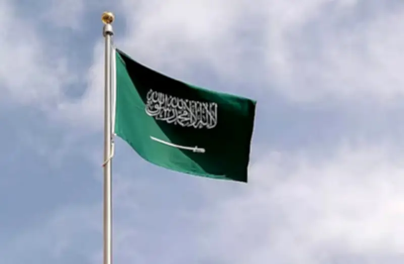 المملكة تفوز بجائزة الأمم المتحدة للخدمة العامة عن بنك البيانات واستشراف