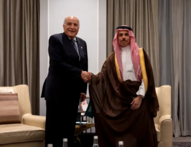 وزير الخارجية يلتقي نظيره الجزائري على هامش اجتماع الجامعة العربية بعمّان