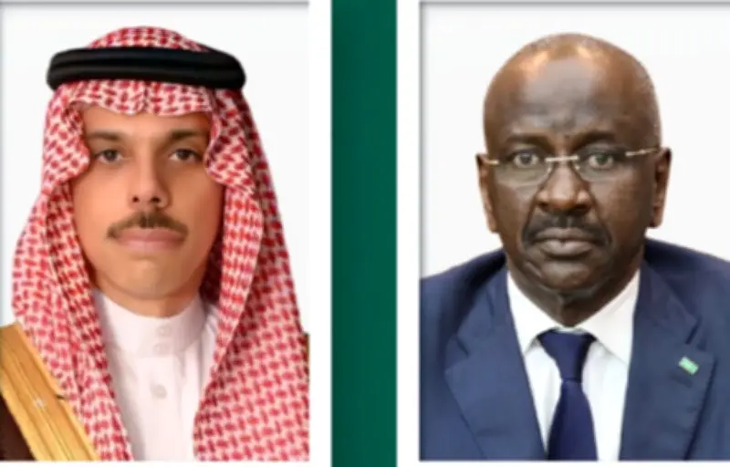 وزيرا خارجية السعودية وموريتانيا يبحثان التطورات الإقليمية