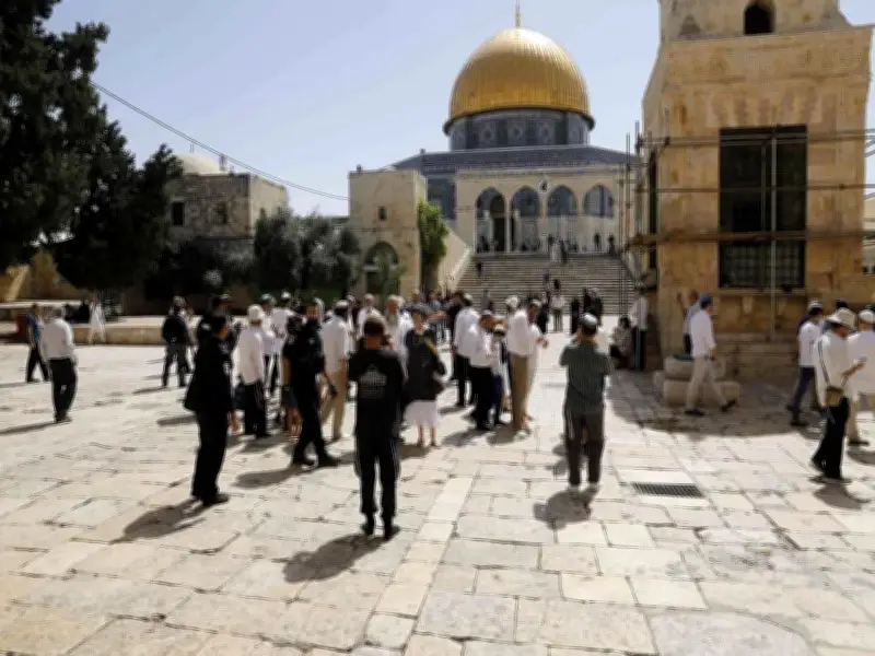 اقتحام المسجد الأقصى واعتقال 11 فلسطينياً بالضفة