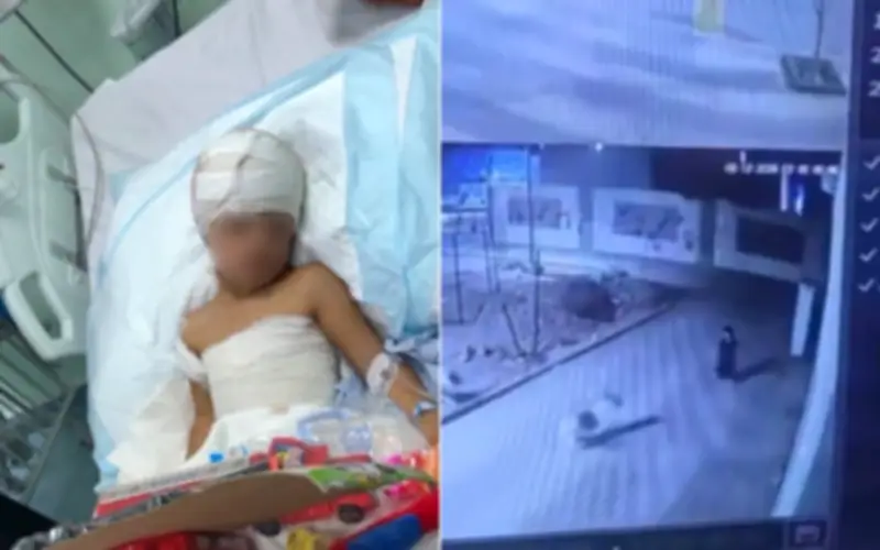 كلاب ضالة تهاجم طفلاً في طريف وتصيبه بجروح بالغة