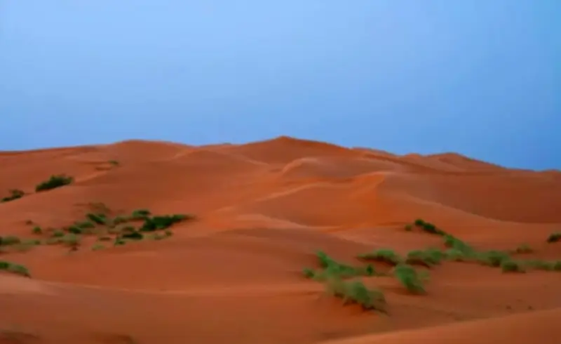مناظر طبيعية آسرة في كثبان النفود الكبير برفحاء