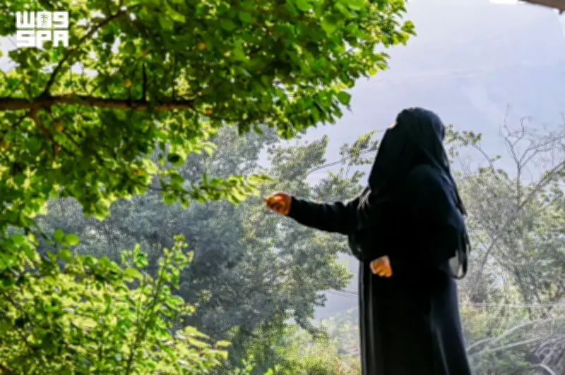 مزارع الباحة الصيفية وجهة سياحية وزراعية تعزز الاقتصاد المحلي