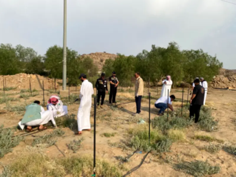 تشجير منتزه في الطائف بمبادرة من وزارة البيئة وجمعية الصاعقة