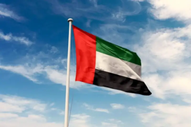 الإمارات تعزي السعودية في ضحايا تحطم طائرة أرامكو برأس تنورة