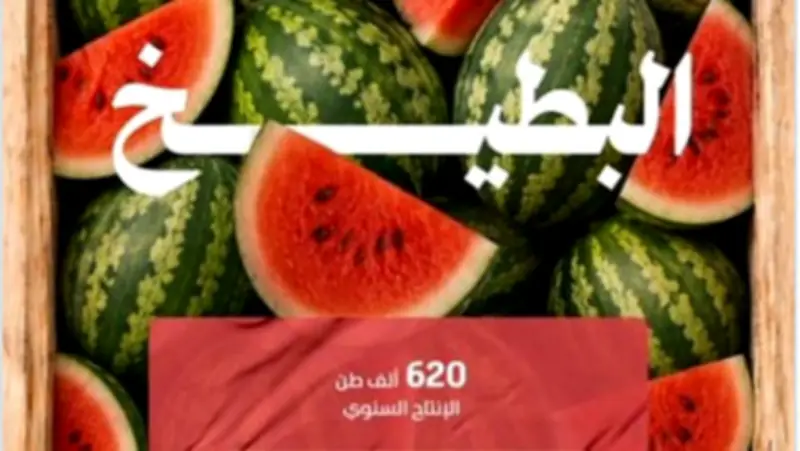 البطيخ يتصدر قائمة الفواكه الصيفية في المملكة بإنتاج 620 ألف طن سنويًا