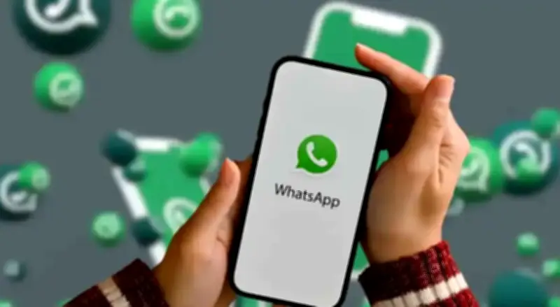 واتساب تطلق ميزة أسماء المستخدمين لتعزيز الخصوصية