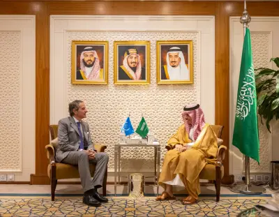 وزير الخارجية يستقبل مدير الوكالة الدولية للطاقة الذرية