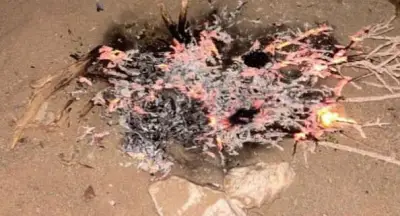 القبض على مواطن لإشعال النار في محمية الأمير محمد بن سلمان