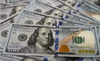 استقرار الدولار قرب أعلى مستوى في شهرين بعد تقرير وظيفي أمريكي قوي