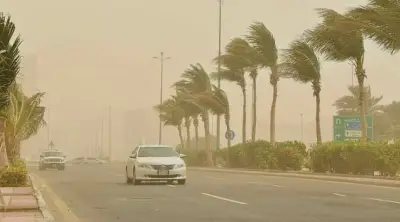 أمانة جدة تطلق مبادرة لتشجير 100 ألف شجرة بالواجهة البحرية