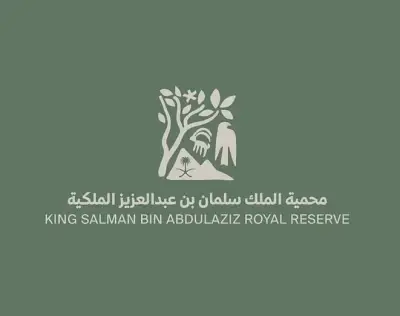 محمية الملك سلمان تثبت عوازل كهربائية لحماية الطيور المهاجرة من الصعق