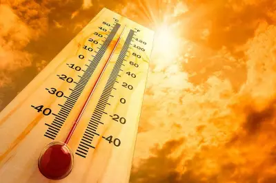 أمير الرياض يوجه بتشجير 500 موقع وإعادة تأهيل 12 متنزهاً