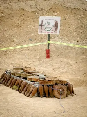 «مسام» السعودي ينزع 1779 لغماً وذخيرة غير متفجرة في أسبوع