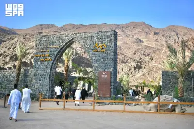 مشروع 