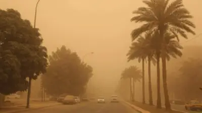 الأرصاد تحذر من رياح نشطة بسرعة 49 كم/س في 7 محافظات بتبوك
