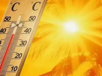 الأرصاد تحذر من موجة حارة تبلغ 50 درجة ورياح نشطة على الشرقية