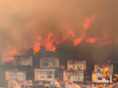 حريق واسع يهدد غابات إزمير.. 15 طائرة ومروحية و39 آلية في مواجهة النيران