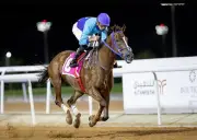 عودة سباقات الخيل إلى ميدان الملك خالد بالطائف بجوائز 22 مليون ريال
