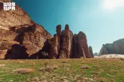 العُلا تخصص 50% من مساحتها كمحميات طبيعية ضمن مبادرة السعودية الخضراء