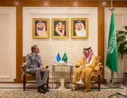 وزير الخارجية يستقبل مدير الوكالة الدولية للطاقة الذرية