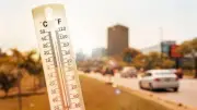 الأرصاد: استمرار ارتفاع الحرارة ونشاط الرياح نهاية الأسبوع