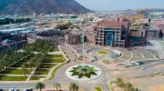 برعاية أمير المدينة.. جامعة طيبة تنظم ملتقى التوظيف الأول