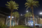 مكة المكرمة تعزز الرقعة الخضراء وترسخ ثقافة المسؤولية البيئية