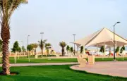 مبادرة لتحويل الحدائق إلى مناطق مشاهدة لمباريات السعودية في كأس العالم