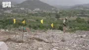 مسام ينزع 1779 لغماً وذخيرة في اليمن خلال أسبوع
