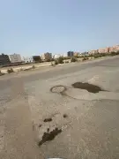 سكان حي السويس بجازان يشتكون من تدهور الطرق وانتشار الغربان