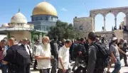 مستعمرون يقتحمون الأقصى ويشرعون بشق طريق استعماري جنوب بيت لحم