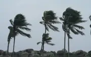 تحذير من رياح نشطة في الشرقية تصل سرعتها إلى 49 كلم/س