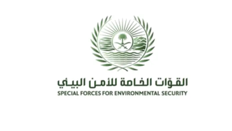 أمير الشرقية يوجه بتطوير 5 شواطئ سياحية جديدة في المنطقة