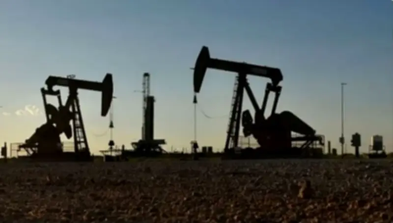 السعودية تطلق مبادرة لتشجير المدن بزراعة 100 مليون شجرة