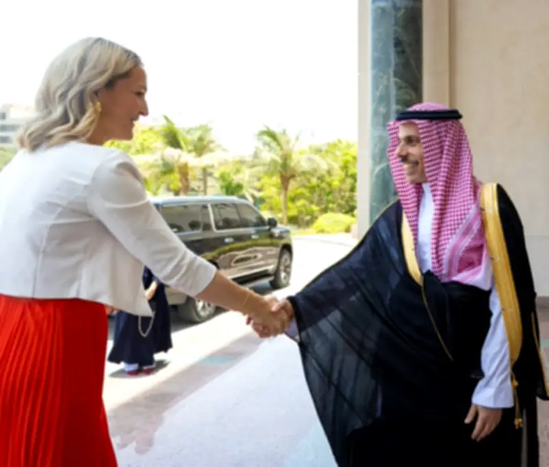 وزير الخارجية السعودي يبحث مع نظيرته الأيرلندية العلاقات الثنائية والتطورات الإقليمية