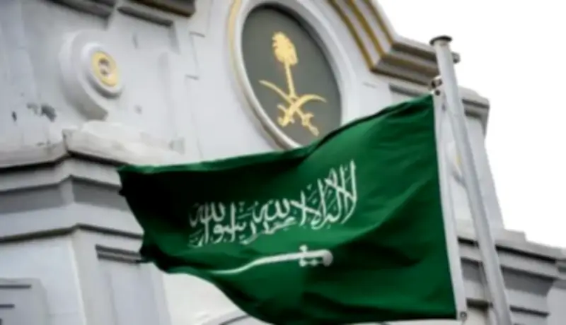 أمانة تبوك تزرع 7 آلاف شتلة في مشروع تشجير الطرق