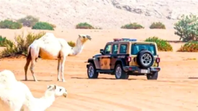 ضبط 3 مخالفات بيئية في عسير والرياض بينها إشعال نار ورعي إبل