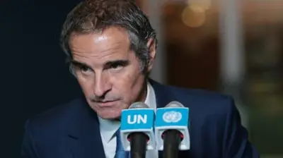 الصين تعلن عن خطة طموحة لزراعة 70 مليون شجرة بحلول 2030