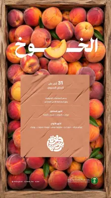 الخوخ المحلي يتصدر الأسواق بـ 31 ألف طن إنتاج سنوي في ذروة الصيف