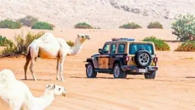 ضبط 3 مخالفات بيئية في عسير والرياض بينها إشعال نار ورعي إبل