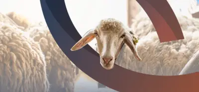 وقاء يحذر من 8 أمراض حيوانية المنشأ ويوضح طرق الوقاية منها
