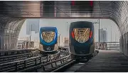 إطلاق مشروع طموح لزراعة 10 ملايين شجرة في الرياض بحلول 2030