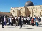 مستوطنون يقتحمون المسجد الأقصى ويؤدون طقوسًا تلمودية تحت حماية الاحتلال