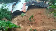 مشروع تشجير ضخم يزرع 10 ملايين شجرة في المملكة