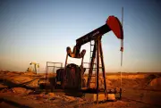 أمير الرياض يوجه بتطوير 18 موقعاً للساحات البلدية