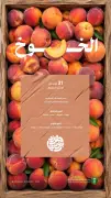 الخوخ المحلي يتصدر الأسواق بـ 31 ألف طن إنتاج سنوي في ذروة الصيف
