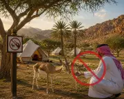 إلزام مخيمات السياحة بتوفير جهاز صدمات القلب ومنع إطعام الحيوانات البرية
