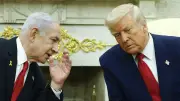 تراجع كبير في أعداد طيور البطريق الإمبراطور بسبب تغير المناخ